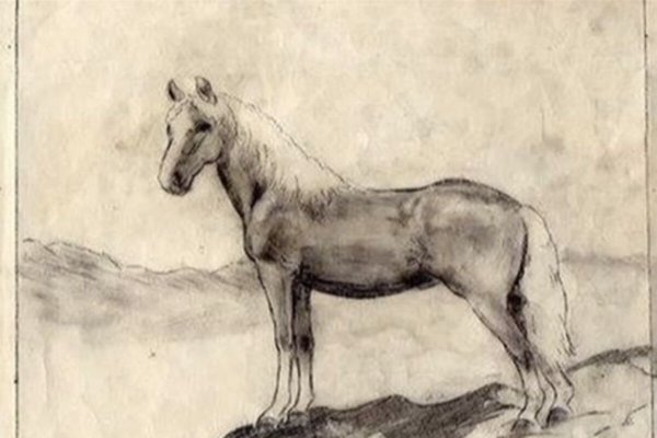 Конь с ручками