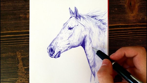 Точечная Графика