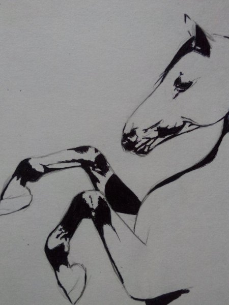 Рисунки ручкой в тетради лошадь