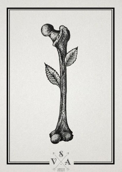 Эскизы костей