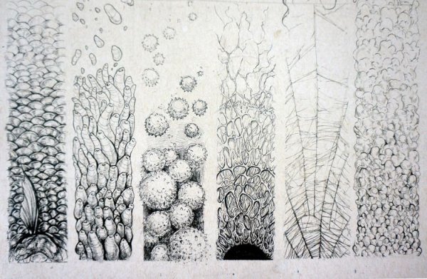 Фактура ткани рисунок ручкой