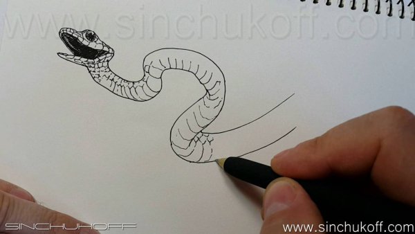 Змея чёрной гелевой ручкой