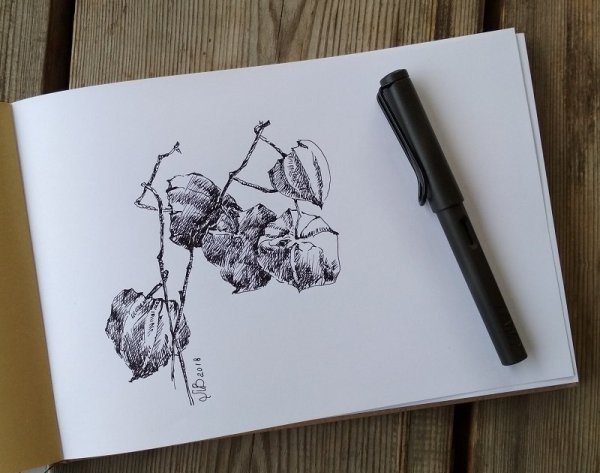 Скетчи перьевой ручкой