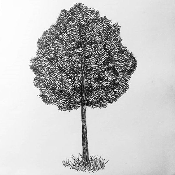 Дерево черной ручкой