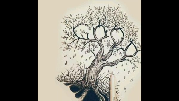 Наброски деревьев ручкой