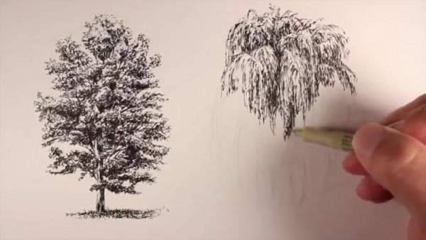 Зенарт Зентангл дерево