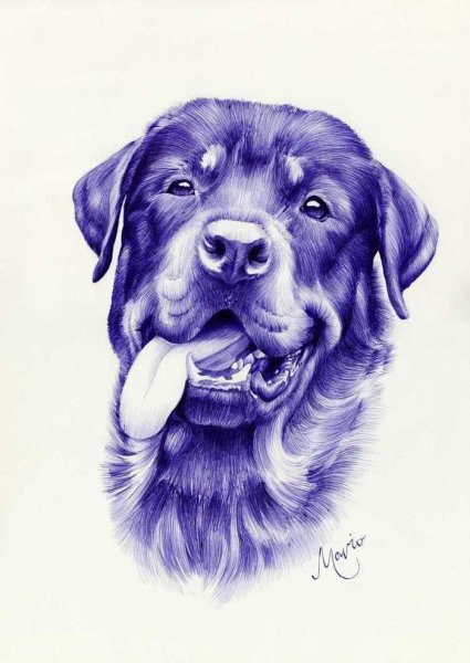 Нарисовать собаку ручкой