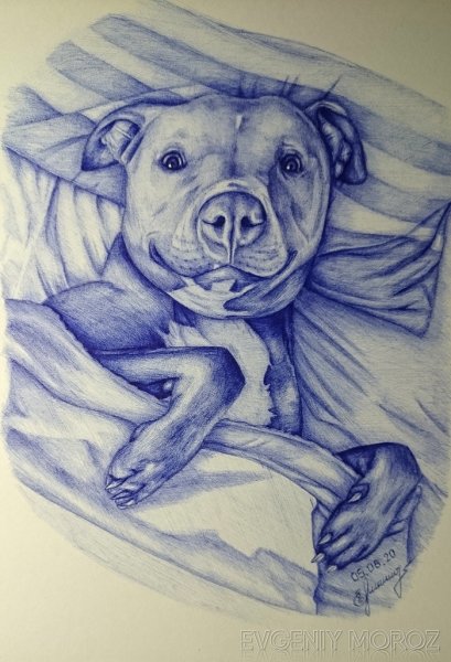 Собака черной ручкой