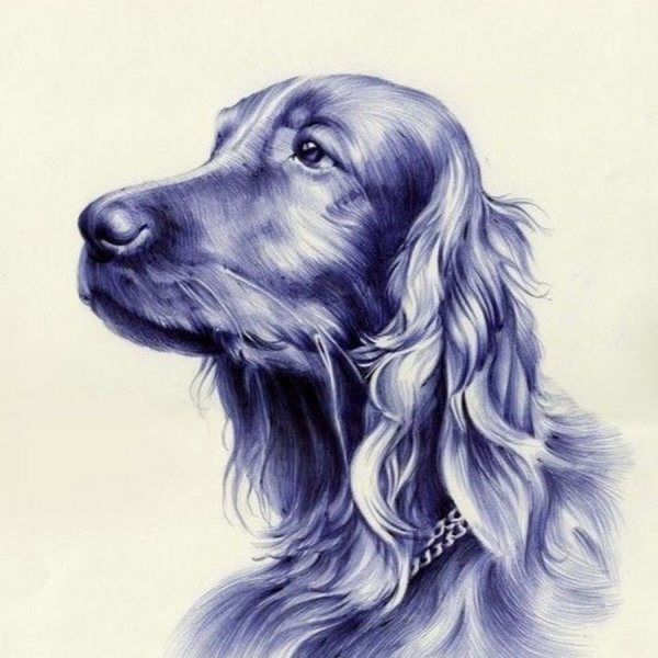 Доберман в графике