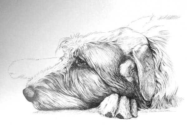 Красивые рисунки ручкой