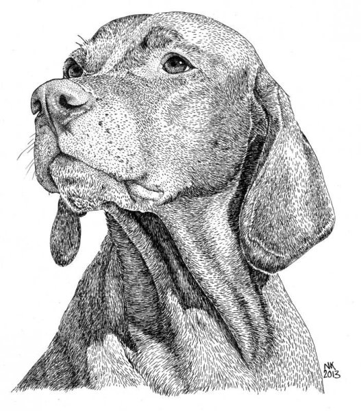 Рисунки для скетчбука собаки легкие