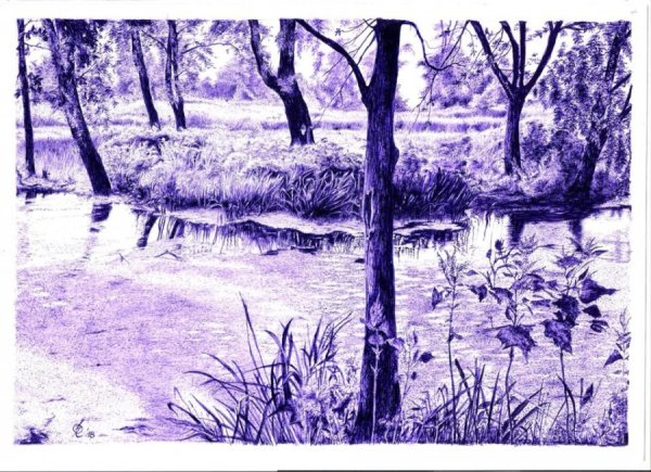 Пейзаж шариковой ручкой