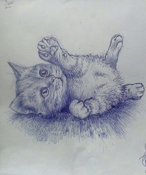 Кошка гелевой ручкой