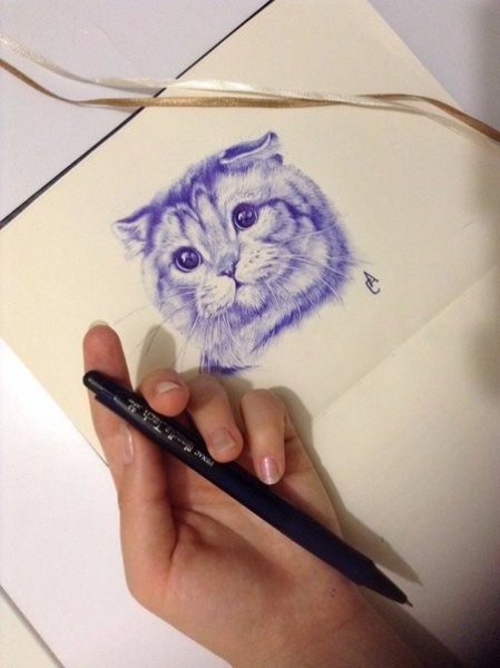 Коты ручкой