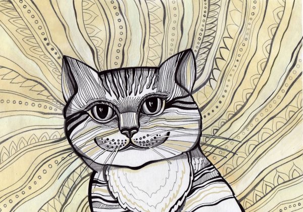 Стилизация кота