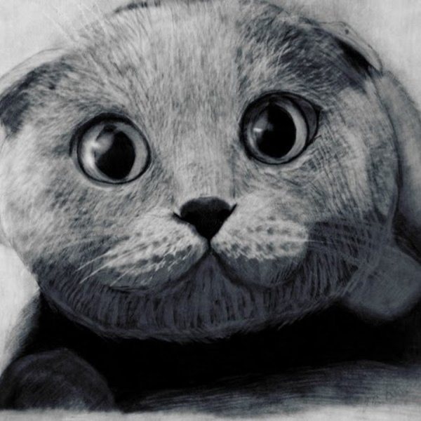 Ручка с котиком