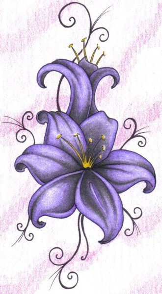Лилия эскиз цветной