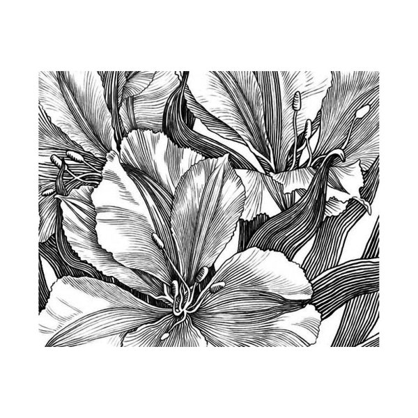 Цветы линером