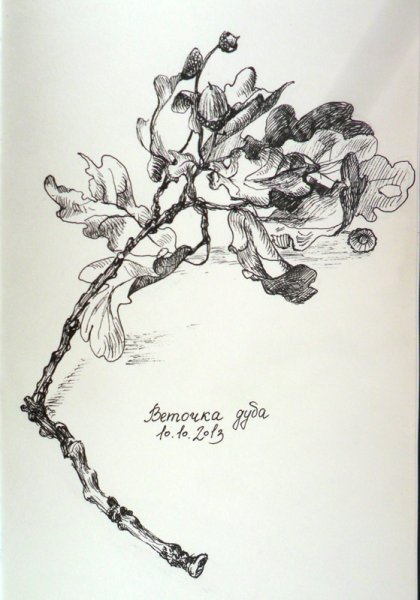 Декоративная Графика трава