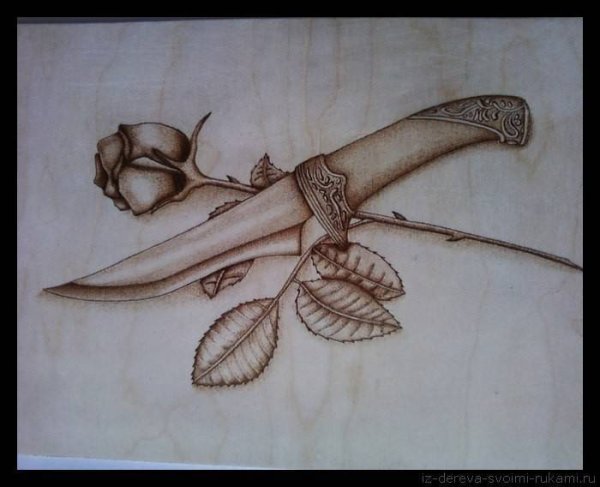 Больстер медведь