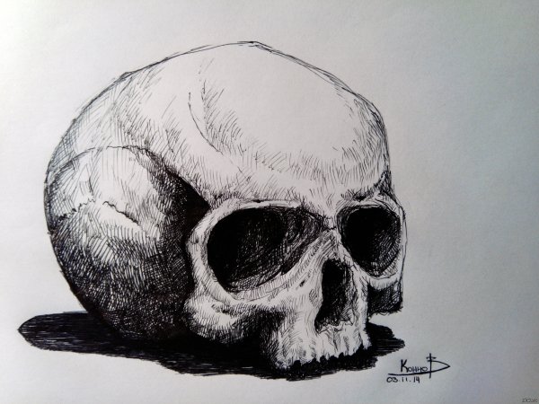 Череп черной ручкой