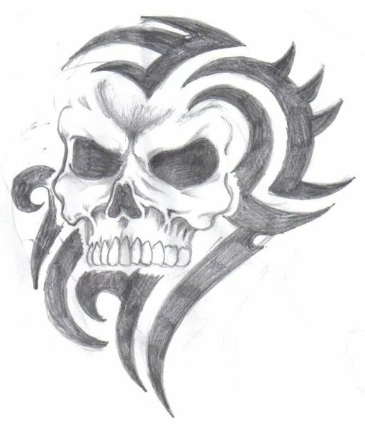 Череп карандашом для срисовки