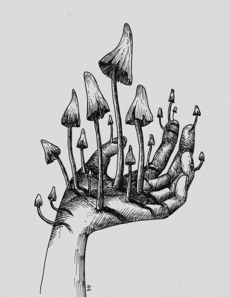 Грибы Графика тату