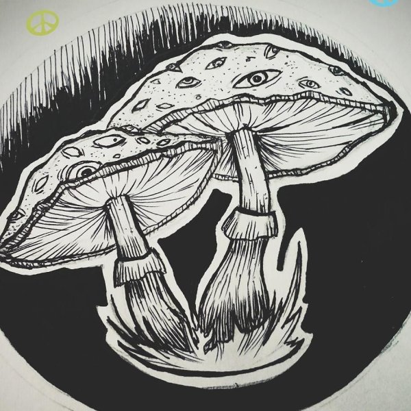 Грибы тату чб