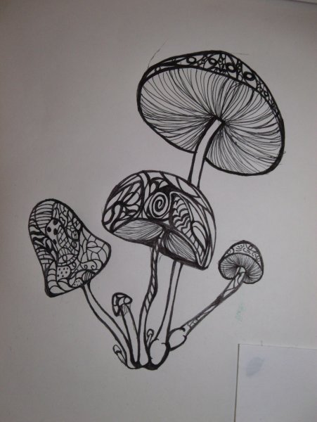 Грибы скетч