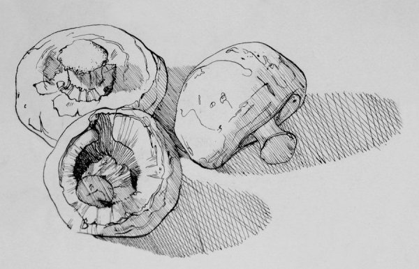 Стилизованные грибы