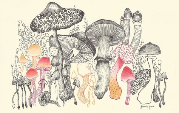 Нарисовать мухомор ручкой