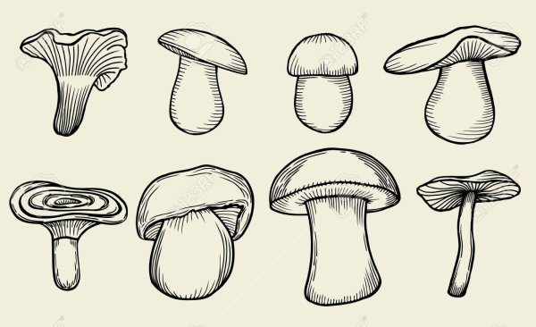 Эскизы необычных фантастических грибов