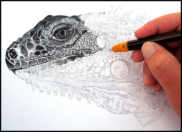 Точечная техника рисования гелевой ручкой