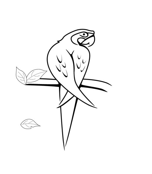 Рисунок птицы для срисовки легкие и красивые