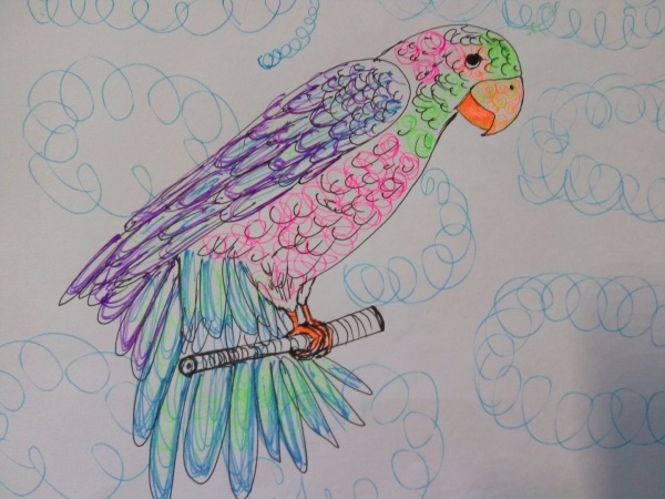 Попугай для рисования
