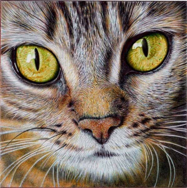 Художник-самоучка Самуэль Сильва