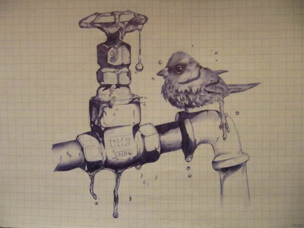 Рисунки ручкой прикольные