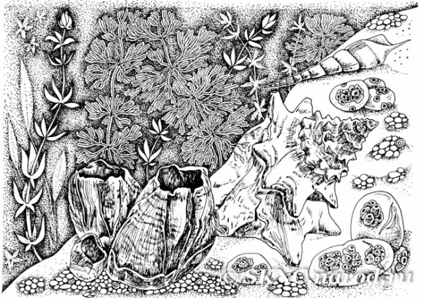 Морское дно Графика