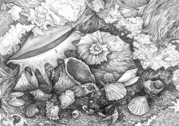 Подводный мир в графике