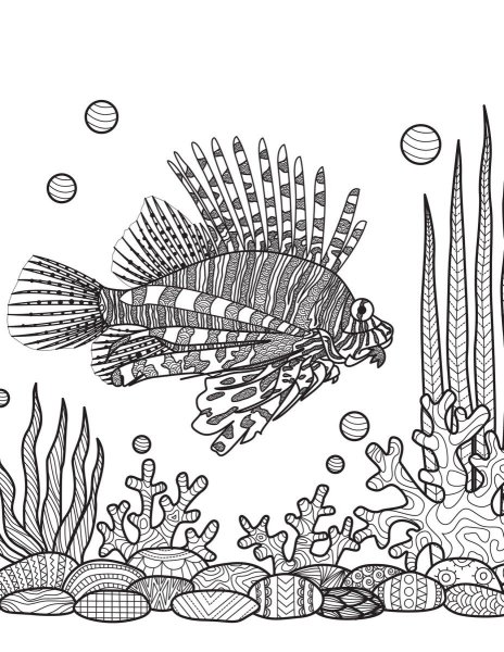 Морское дно в графике