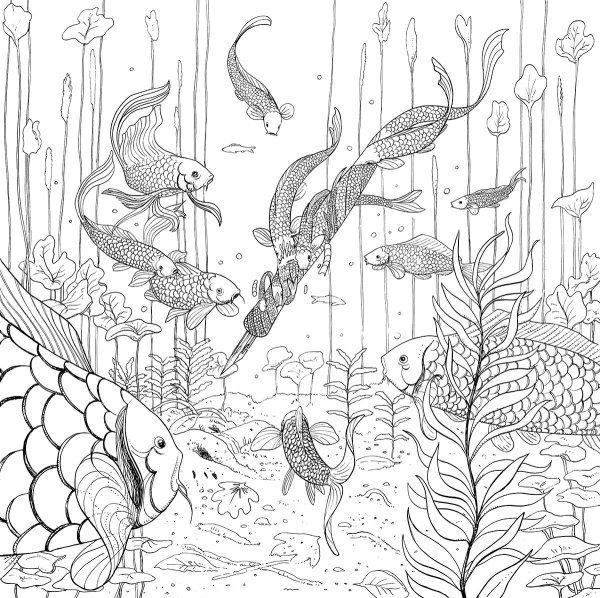 Подводный мир Графика