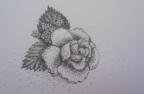 Миниатюра Графика