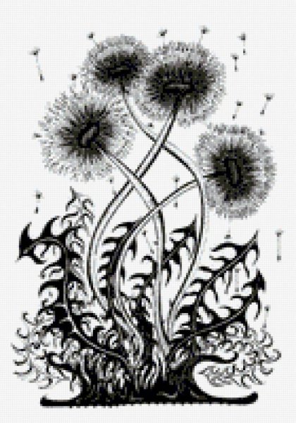 Одуванчик тату эскизы