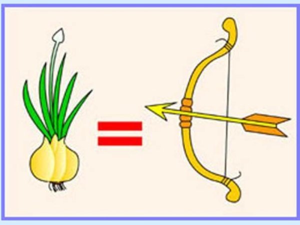 Омонимы для дошкольников