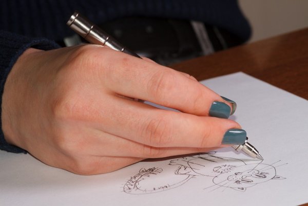 Ручка Polar Pen 588