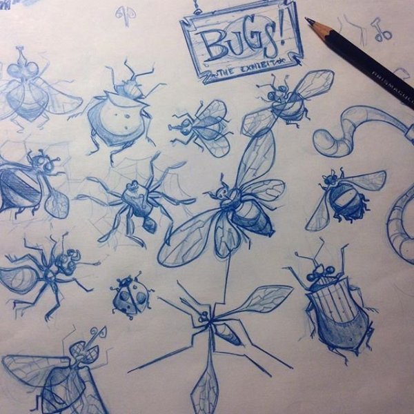 Насекомые ручкой