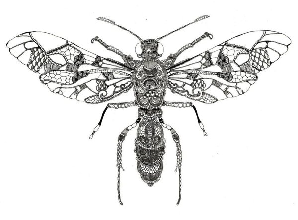 Орнамент насекомые