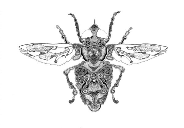 Зентангл насекомые