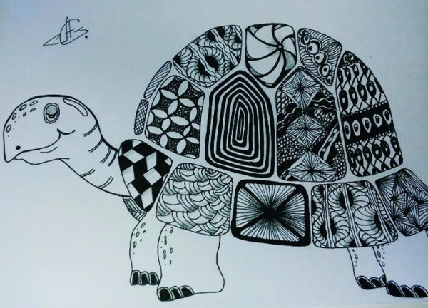 Черепаха Графика