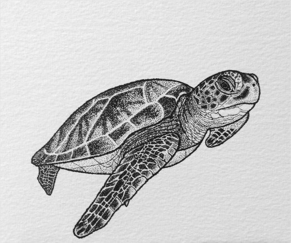 Тату черепаха дотворк